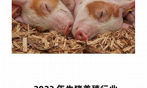 华尔街2024生猪期货手续费