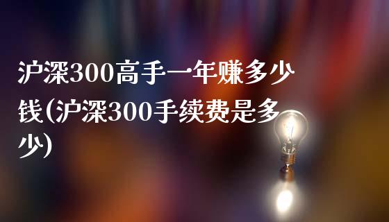 沪深300高手一年赚多少钱(沪深300手续费是多少)