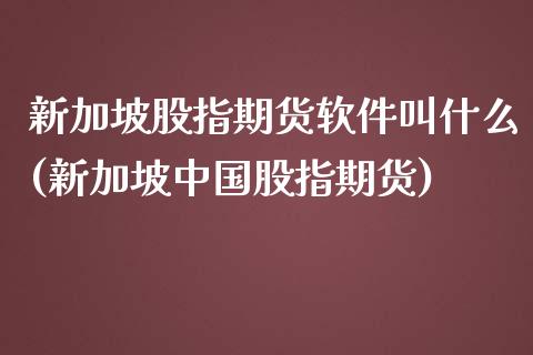 新加坡股指期货软件叫什么(新加坡中国股指期货)