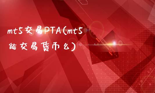 mt5交易PTA(mt5能交易货币么)