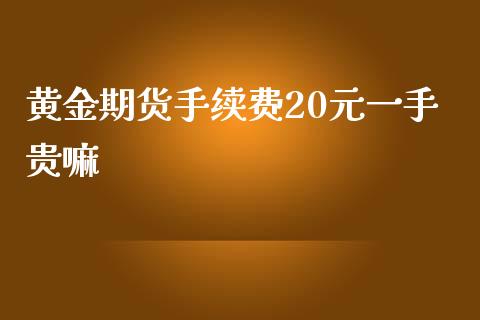 黄金期货手续费20元一手贵嘛