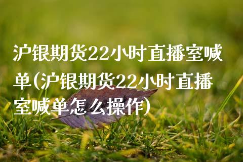 沪银期货22小时直播室喊单(沪银期货22小时直播室喊单怎么操作)