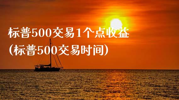 标普500交易1个点收益(标普500交易时间)