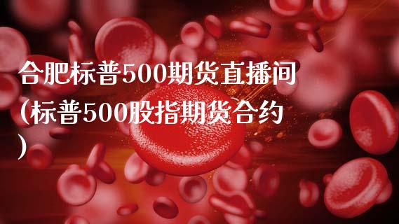 合肥标普500期货直播间(标普500股指期货合约)