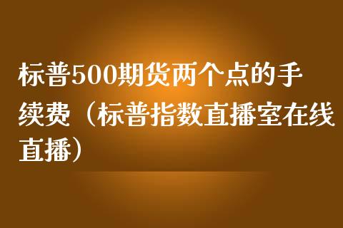 标普500期货两个点的手续费（标普指数直播室在线直播）