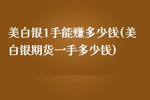 美白银1手能赚多少钱(美白银期货一手多少钱)