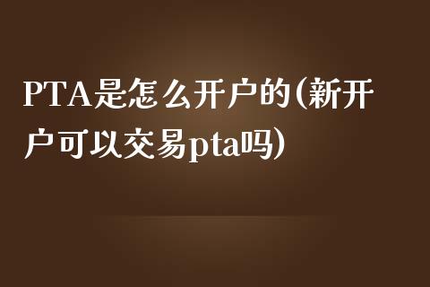 PTA是怎么开户的(新开户可以交易pta吗)