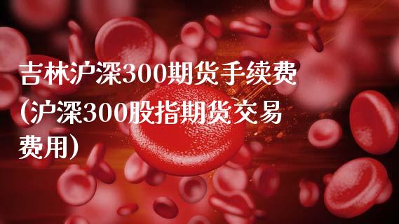 吉林沪深300期货手续费(沪深300股指期货交易费用)