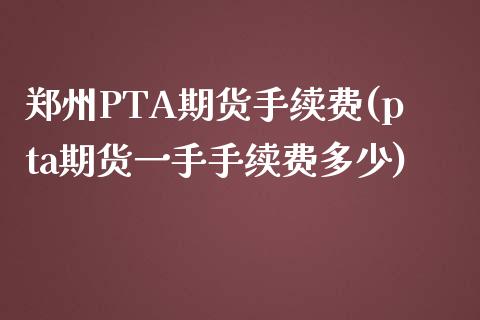 郑州PTA期货手续费(pta期货一手手续费多少)