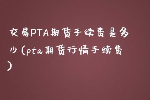 交易PTA期货手续费是多少(pta期货行情手续费)