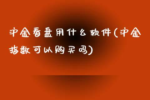 沪金看盘用什么软件(沪金指数可以购买吗)