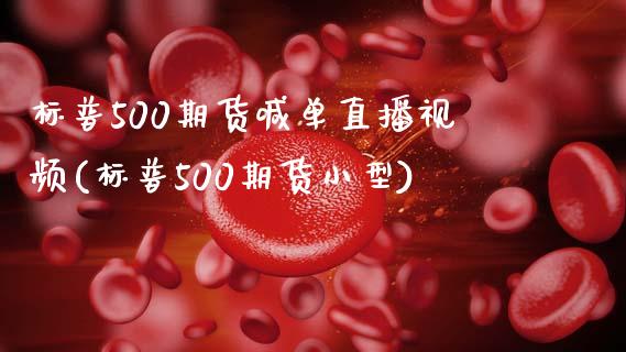 标普500期货喊单直播视频(标普500期货小型)