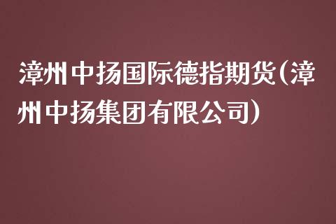 漳州中扬国际德指期货(漳州中扬集团有限公司)