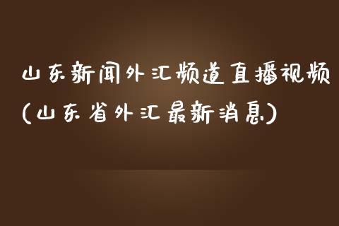 山东新闻外汇频道直播视频(山东省外汇最新消息)