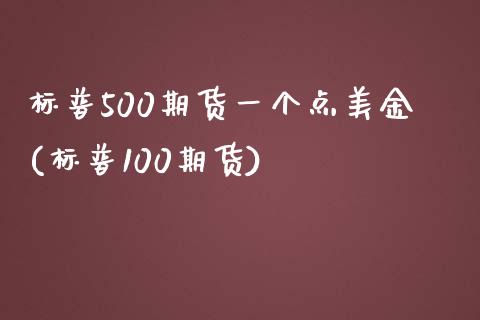 标普500期货一个点美金(标普100期货)