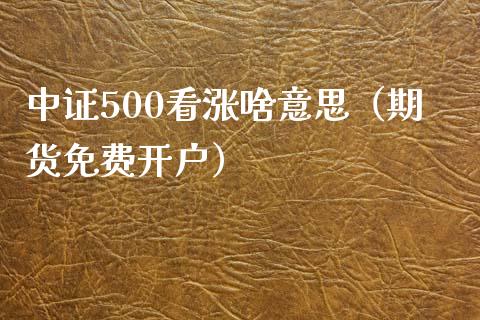 中证500看涨啥意思（期货免费开户）