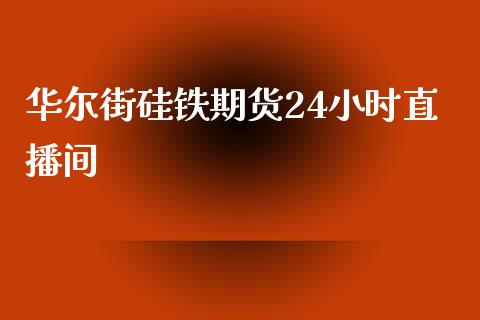 华尔街硅铁期货24小时直播间