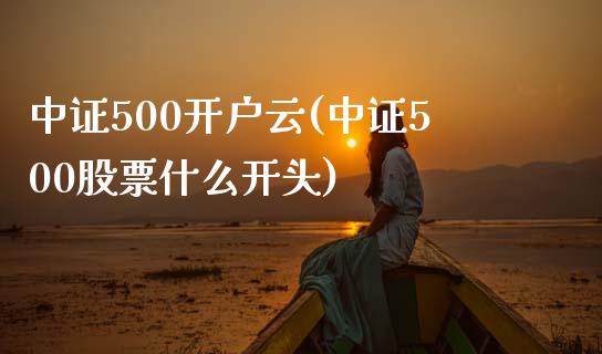 中证500开户云(中证500股票什么开头)