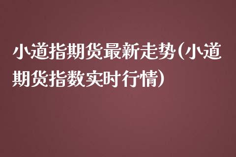 小道指期货最新走势(小道期货指数实时行情)