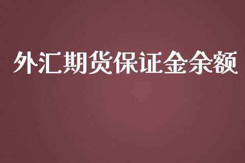 外汇期货保证金余额