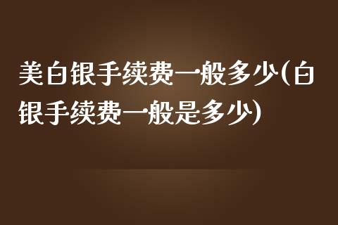 美白银手续费一般多少(白银手续费一般是多少)