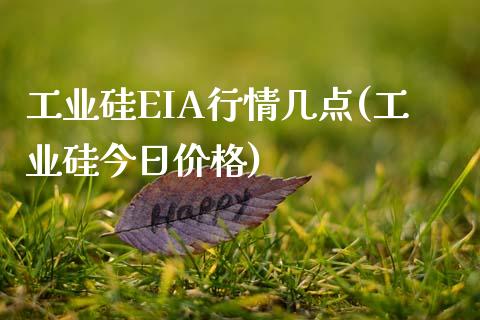 工业硅EIA行情几点(工业硅今日价格)