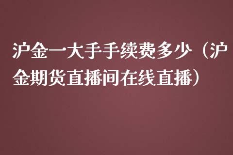 沪金一大手手续费多少（沪金期货直播间在线直播）