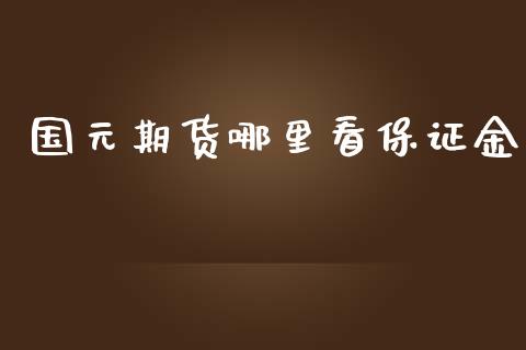 国元期货哪里看保证金