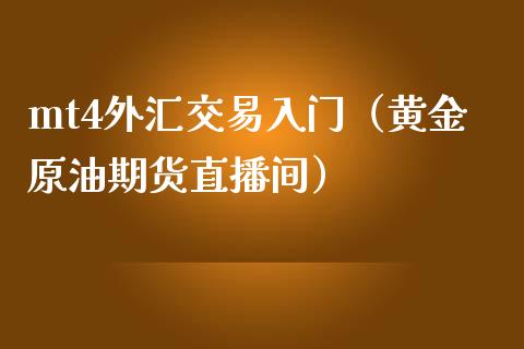 mt4外汇交易入门（黄金原油期货直播间）