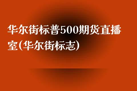 华尔街标普500期货直播室(华尔街标志)