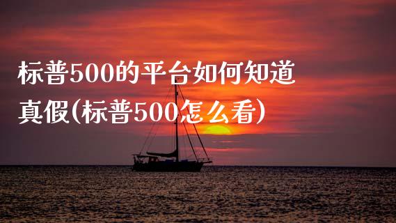 标普500的平台如何知道真假(标普500怎么看)