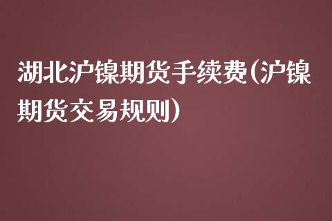 湖北沪镍期货手续费(沪镍期货交易规则)