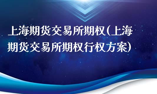 上海期货交易所期权(上海期货交易所期权行权方案)