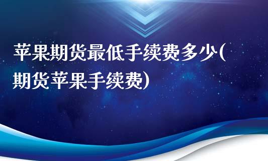 苹果期货最低手续费多少(期货苹果手续费)