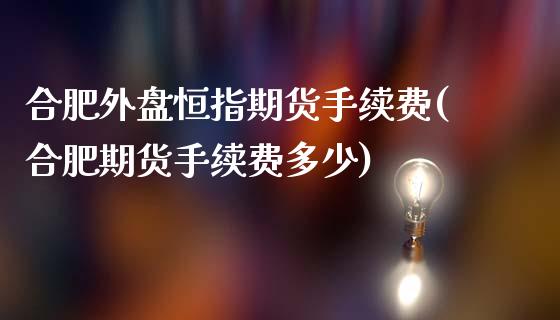 合肥外盘恒指期货手续费(合肥期货手续费多少)