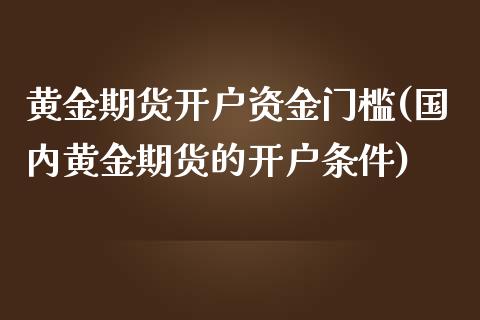 黄金期货开户资金门槛(国内黄金期货的开户条件)