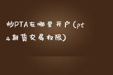 炒PTA在哪里开户(pta期货交易权限)