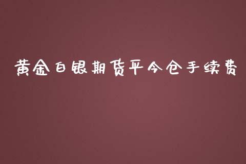 黄金白银期货平今仓手续费