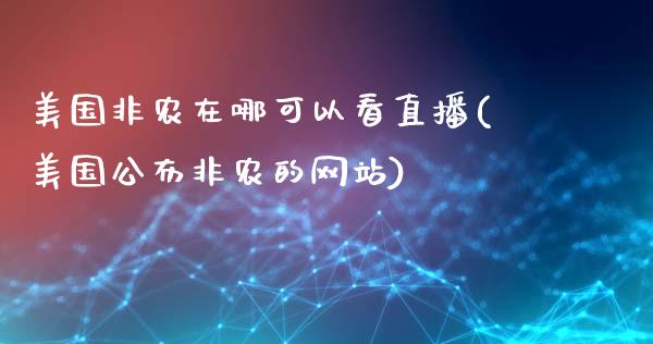 美国非农在哪可以看直播(美国公布非农的网站)