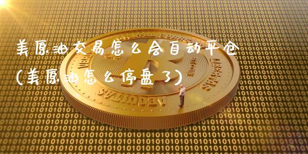 美原油交易怎么会自动平仓(美原油怎么停盘了)