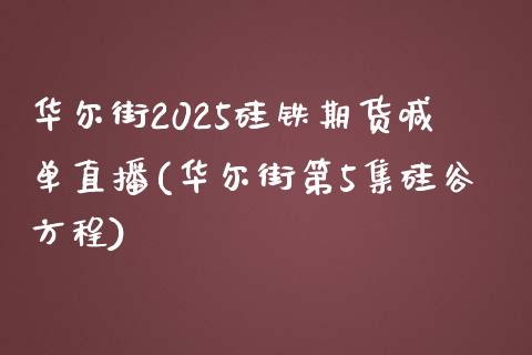 华尔街2025硅铁期货喊单直播(华尔街第5集硅谷方程)