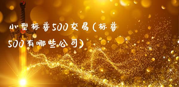 小型标普500交易(标普500有哪些公司)