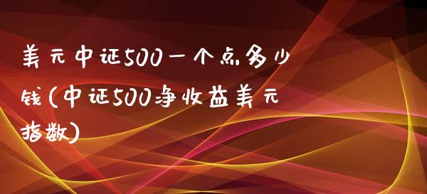 美元中证500一个点多少钱(中证500净收益美元指数)