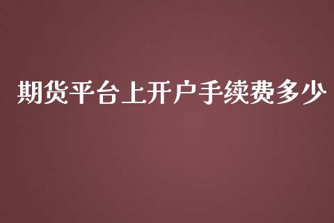 期货平台上开户手续费多少