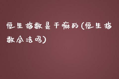 恒生指数是干嘛的(恒生指数合法吗)