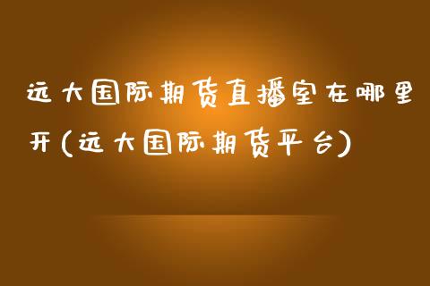 远大国际期货直播室在哪里开(远大国际期货平台)