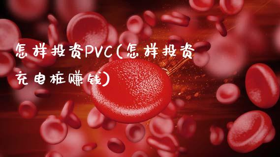 怎样投资PVC(怎样投资充电桩赚钱)