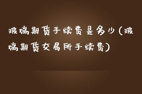 玻璃期货手续费是多少(玻璃期货交易所手续费)