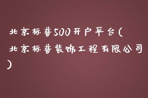 北京标普500开户平台(北京标普装饰工程有限公司)