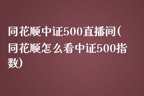 同花顺中证500直播间(同花顺怎么看中证500指数)